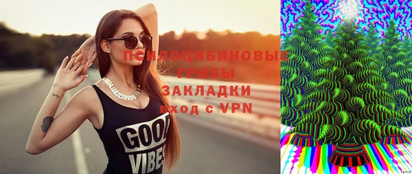 стаф Бикин