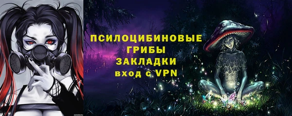 марки lsd Козельск