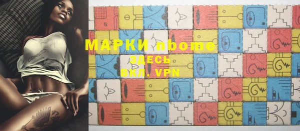 индика Карпинск