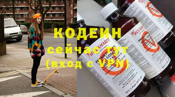 СК Кодинск