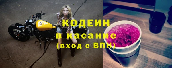 СК Кодинск