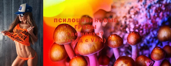 СК Кодинск