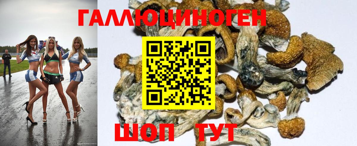 Когалым  Псилоцибиновые грибы MAGIC MUSHROOMS  Вход с VPN 